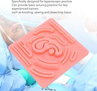 Modelo Anatómico de Silicona de Grado Médico para Práctica de Sutura en Cirugía Laparoscópica 3D, Almohadilla de Práctica de Sutura Cutánea