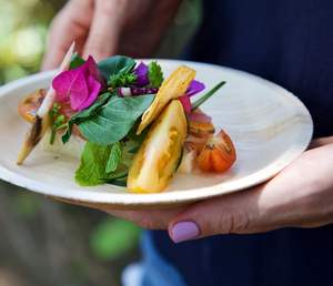 Vaisselle jetable de qualité supérieure de 10 pouces, biodégradable et compostable, très vendue en 2026 - Product Image 5