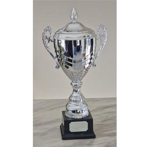 Trofeo Metálico de Lujo Más Vendido para Eventos de Reconocimiento y Motivación de Empleados Disponible a Precio de Fábrica - Product Image 1