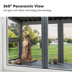 Enclos extérieur pour chat en bois gris avec fenêtre, perchoir et plateforme de saut, sûr pour que votre animal profite des vues extérieures - Product Image 4