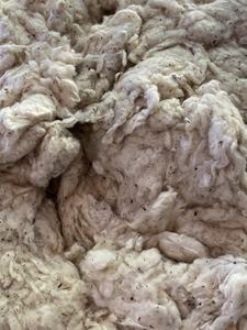 Algodón linkrein de alta calidad, marca Nithya, cantidad mínima 23 toneladas +/- 10. Contacte a la Sra. Kate +84387097963 - Product Image 3