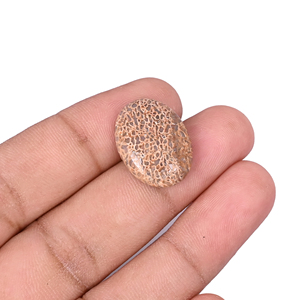 Pierre précieuse en os de dinosaure, 12 carats, 20x15mm, forme ovale, pierre brute - Product Image 2