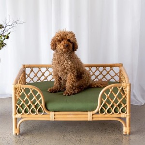 Cama rectangular grande para perros, camas para perros de ratán sostenible, cesta para dormir para mascotas, sofás tipo lounge para gatos - Product Image 1