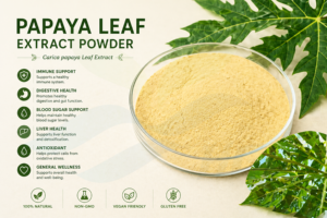Suministro Directo de Fábrica HGO de Extracto Puro y Natural de Hoja de Papaya en Polvo (Grado Alimenticio) ER-10:1 (Polifenoles 3% y Glicósidos 40%) - Product Image 2