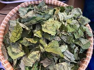 Proveedor Confiable de Vietnam, Hojas Secas de Yanang, 500g, Envasadas al Vacío, para Restaurantes y Mercados Minoristas - Product Image 5
