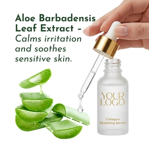 Hot Sale Professional Marine Collagen Serum Deep Hydration Effect Private Label Skin Care for Sensitive & Dry Skin OEM ODM - Product Image 2