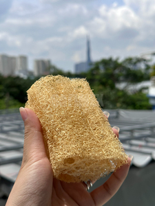 100% <b>Natural</b> Loofah <b>Sponge</b> Scrubber 10-12cm Customize Packaging Organic Farm Grown Supplier of <b>Natural</b> Luffa from Vietnam - Product Image 6