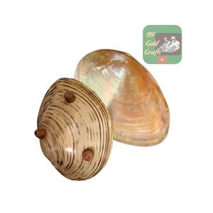 Élégante assiette en nacre fabriquée au Vietnam pour le service d'apéritifs au caviar et les articles hôteliers les plus vendus pour les hôtels de luxe. - Product Image 5