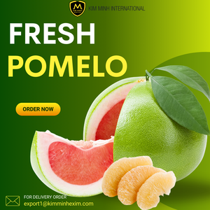 Pomelo frais de haute qualité du Vietnam - Approvisionnement en gros pour les importateurs mondiaux par Kim Minh International - Product Image 2