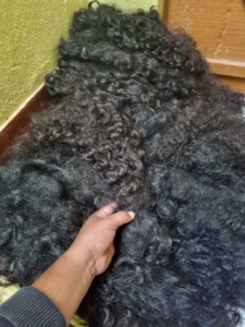 Cheveux bouclés naturels de 100% vierges d'Indien Remy de prolongements crus dessinés simples de cheveux - Product Image 3