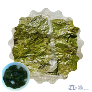[MEJOR VENDIDO] |   Polvo de gelatina de hierba verde para preparar postres instantáneos, aditivo para té con leche, bebida, directo de Vietnam - Product Image 1