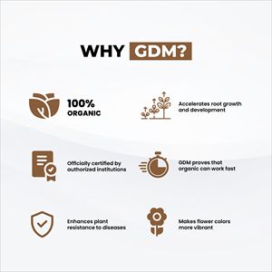 ปุ๋ยน้ำสกัดสาหร่ายทะเลออร์แกนิค GDM Bio 100% ธรรมชาติ ฉีดพ่นออกฤทธิ์เร็ว สำหรับพืชประดับ - Product Image 4