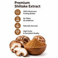 Poudre d'extrait de champignon Shiitake Lentinus Edodes en vrac, 10 % de polysaccharides de haute qualité, marque privée Qidan