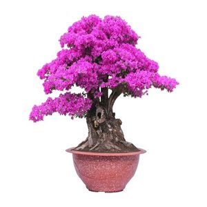 Happy Plant T Pot de fleur décoratif en plastique de haute qualité Durable léger résistant aux intempéries idéal pour la maison balcon Patio - Product Image 2