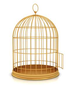 Elegante Jaula Moderna para Pájaros de Metal con Diseño Minimalista para Decoración del Hogar y Espacio Cómodo para las Aves - Product Image 2