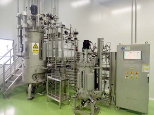 Corps en acier inoxydable de bioréacteur de fermenteur d'acier inoxydable de Bailun 500L avec l'enveloppe de chauffage/refroidissement - Product Image 6