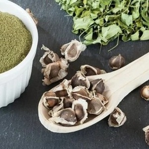 Graines de Moringa Biologiques de Haute Qualité - Product Image 1