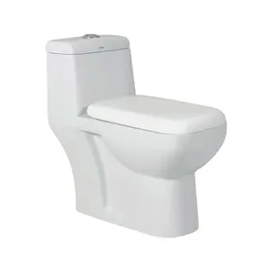 Top Listed Supplier Selling High Quality Sanitary Ware White Ceramic One Piece Water Closet at Best Price from India