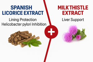 Capsules de silymarine de chardon-Marie 130mg-Supplément de santé du foie pour adultes pris en charge par les OEM - Product Image 4