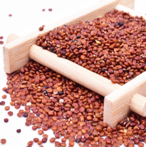 Quinoa Roja de Primera Calidad al por Mayor, Stock Fresco para Compradores B2B Globales, Cadena de Suministro Directa - Product Image 5