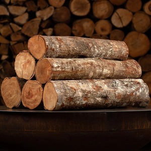 Troncos de Madera al por Mayor, Entrega Rápida, Origen Francés, Alta Calidad, 24 Meses de Vida Útil, Mejor Precio Bajo - Product Image 2