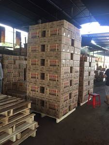 CKT VIETNAM Briquettes de sciure de bois dur de qualité AAA SC01 Offre Spéciale supérieure fabriquée à la machine charbon de bois à combustion rapide sans fumée pour barbecue - Product Image 6