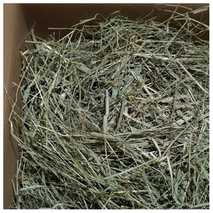 หญ้าทิโมธี/หญ้าอัลฟัลฟ่าคุณภาพดีที่สุดสำหรับขาย - Product Image 6