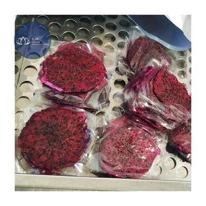 Fruta del Dragón Deshidratada Ecológica de Alta Calidad – Suministro de Rodajas de Fruta Deshidratada Natural y Sostenible - Product Image 1