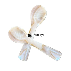 Cuillère de service artisanale en nacre incrustée par Tradebyd - Product Image 4