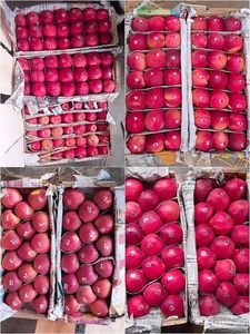 Manzanas Frescas de China - Royal <span class=keywords><strong>Gala</strong></span>/Fuji/Red Delicious 100% Naturales, Almacenadas en Frío, Empacadas en Caja, Dulces, Premium, Exportación a Granel - Product Image 4