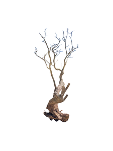 Ornement d'aquarium unique en bois flotté naturel de grande taille, forme irrégulière, durable, décoration de bac à poissons fabriquée au Vietnam - Product Image 3
