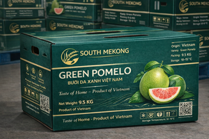 ส้มโอ (เกรปฟรุต) เปลือกเขียวสด เนื้อแดงฉ่ำ พร้อมส่งออก ขายดีสำหรับสหรัฐอเมริกา ยุโรป ออสเตรเลีย ผลิตจากเวียดนาม - Product Image 2