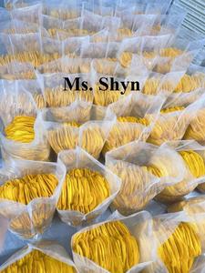 MANGO SUAVE SECADO VIETNÁMICO CON EL MEJOR PRECIO/MANGO SECO REBANADA DE FRUTA-CHIPS MANGO SUAVE SECO ALTA CALIDAD/Shyn Tran - Product Image 4