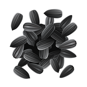 Wholesale High Quality <b>Nuts</b> Organic Sunflower Seeds <b>Kernels</b> - Product Image 5