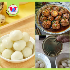 HUEVOS DE CODORNIZ ENLATADOS ECOLÓGICOS, FRESCOS DE GRANJA, EN SALMURAS, LISTOS PARA COMER, IDEALES PARA SOPAS Y PLATOS CALIENTES - Product Image 3