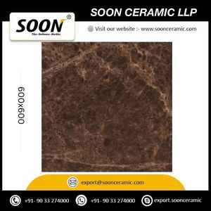 Best Selling Digital Printed Great Emperador 600x600 Matte Porcelain Floor Tiles Rustic Design Non-Slip Exterior Use From India - Product Image 5