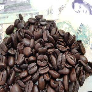 Granos de Café Arábica Tostado de la India 100% Puro de Alta Calidad para Compras al por Mayor, Suministro para Cafeterías, Venta al por Mayor Internacional - Product Image 5