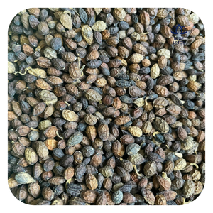 Export Quality Dried Papaya <b>Seeds</b> Wholesale Tropical <b>Seed</b> Product - Product Image 1