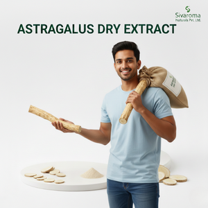 Extracto Seco de Raíz de Astrágalo de Alta Calidad para Exportadores e Importadores en Mercados de Ingredientes Botánicos - Product Image 6