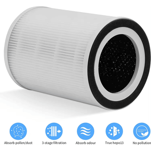 Cartuccia Filtro HEPA H11 Originale 2-in-1 per Purificatore d'Aria, Ricambio Singolo in Vendita - Product Image 6