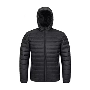 Outdoor Clothing Manufacturer Wholesale Supplier Zipper Hooded Jacket Polyester Filled Casual <b>Coat</b> Lightweight Puffer Down <b>Coat</b> - Product Image 2