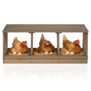 Nido in Legno per Galline Ovaiole, 3 Scomparti, Grigio, per Galline, Galline Ovaiole e Anatre - Product Image 4