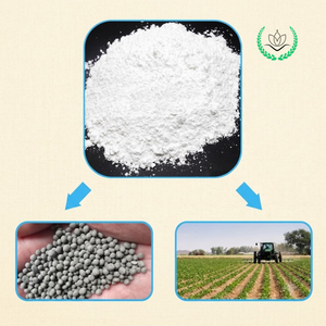 Poudre de talc de qualité supérieure pour masterbatch, poudre de talc industriel, poudre de remplissage haute pureté, faible MOQ, directement du fournisseur - Product Image 2