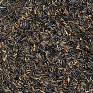 Rich Oil Bearing Natural <b>Seed</b> For Nutritional Formulations And Ingredient Preparation Using Selected Niger <b>Seed</b> - Product Image 6