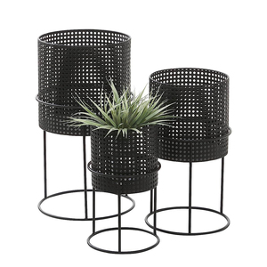 Pot de fleurs en céramique avec cadre en fer pour la maison et le jardin, arrangement de plantes succulentes hydroponiques et décoration végétale - Product Image 1