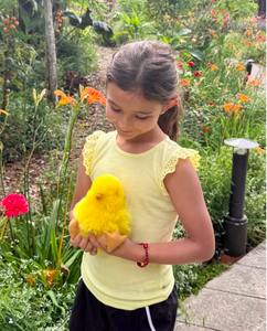 Juguetes de Peluche Personalizados Únicos de Alpaca y Pollo Hechos a Mano al por Mayor - Product Image 2