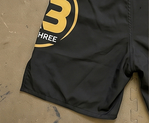 Pantalones Cortos de Lucha MMA Negros y Dorados para Hombre R3, Sublimación OEM, Secado Rápido, Ropa de Artes Marciales, Pantalones Cortos de MMA Unisex, Corte Regular, Talla Adulto - Product Image 3