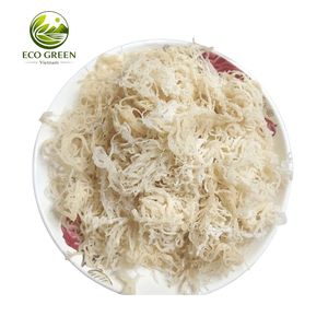 Mousse d'Irlande séchée de qualité supérieure, mousse marine naturelle, algues sauvages biologiques, approvisionnement en vrac pour l'industrie alimentaire, les gels et les boissons - Product Image 1