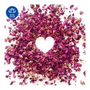 Botones de Rosa Secos de Primera Calidad, Cosecha Fresca, Precio Mayorista Económico, Base de Té con Sabor Natural, Grado Premium, Suministro a Granel de Fábrica - Product Image 1