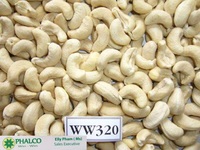 Biologische Gebakken Cashewnoten Bulk Gedroogd Fruit Fabrieksprijs A+ Kwaliteit